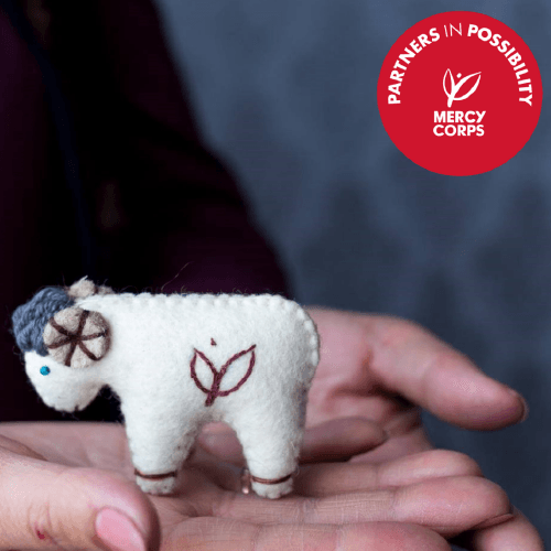 Mercy Corps – Global humanitarian aid organization, Egypt